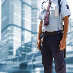 One Guard Day Shift